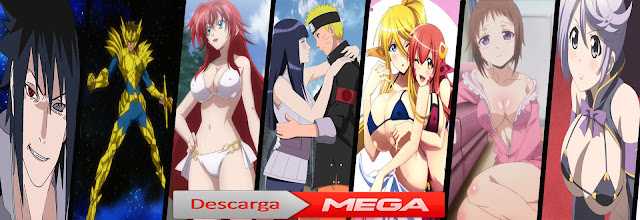 http://gamedeckgato.blogspot.mx/2015/08/descargar-animes-mega.html