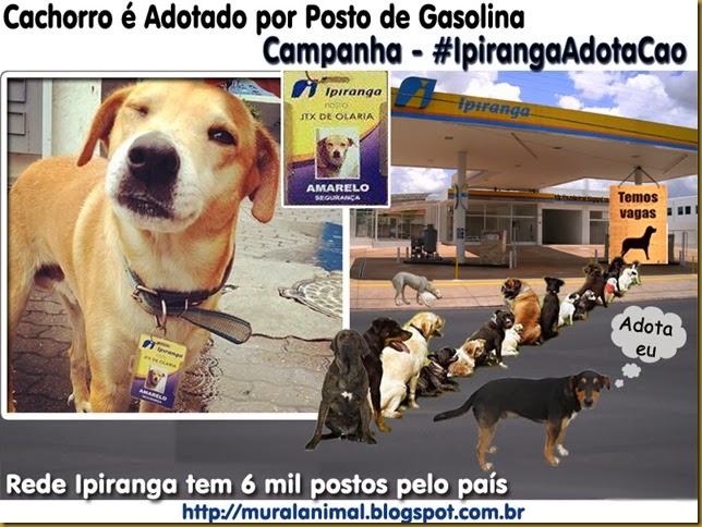 ipirangaadotacao