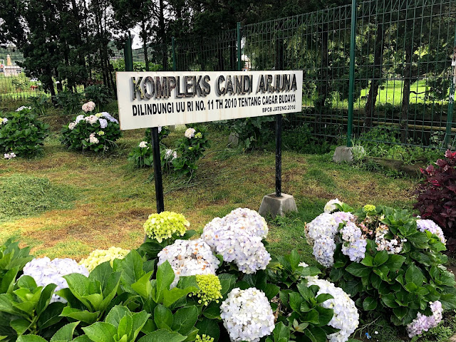 Kompleks Candi Arjuna Dieng - habisliburan.com