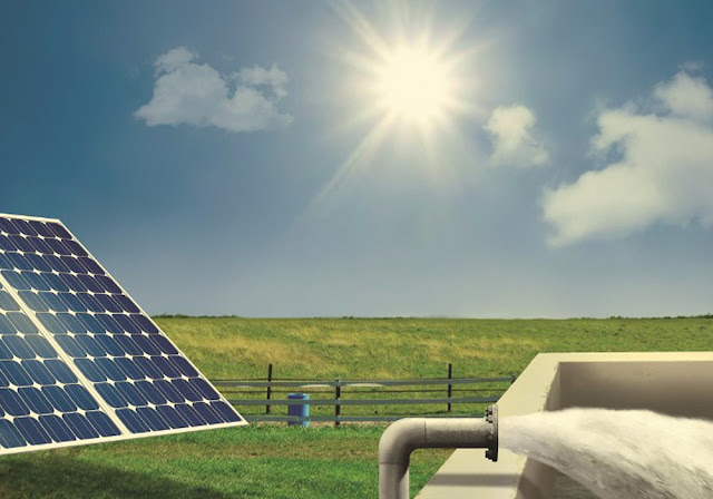 Solar Water Pumps Market Share