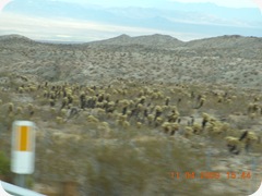 DSCN1405