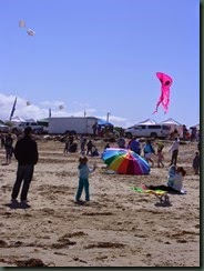 Kite Festival 2014 020