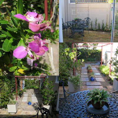 Septemberbossie. East Patio Washing Pergola or Cornish Stripe