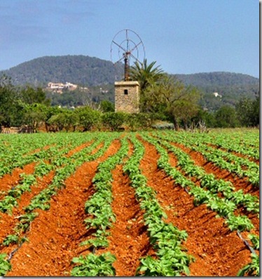 agricultura-2