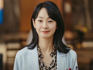 Sinopsis Doctor Cha Korean Drama