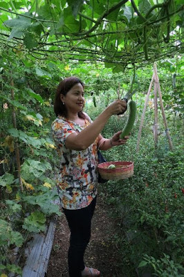 bulacan farm tours