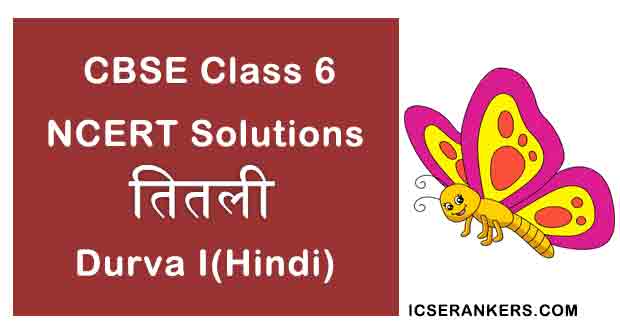 NCERT Solutions for Class 6th Hindi Chapter 17 तितली