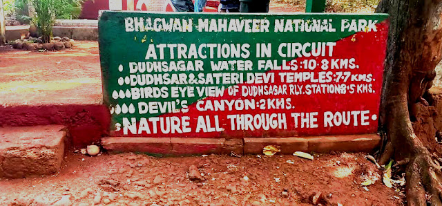 Dudhsagar waterfalls, goa ,kulem, trekking,Bhagwan Mahavir National Park