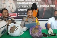 Ditresnarkoba Polda NTB Amankan 1,7 Kg Ganja di Lombok Timur