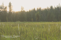 Shannon Hager Photography, Oregon Forest, Oregon Meadow