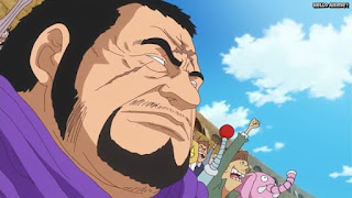 ワンピースアニメ ドレスローザ編 631話 海軍大将 藤虎 イッショウ Fujitora | ONE PIECE Episode 631