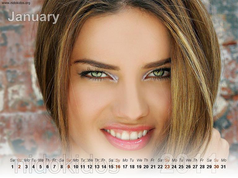desktop wallpaper 2011 new year. Free New Year 2011 Calendar: