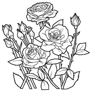 roses coloring pages,flowers coloring pages