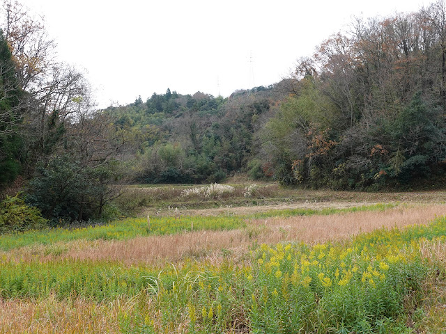 伯耆町の小野集落の農道からの眺望