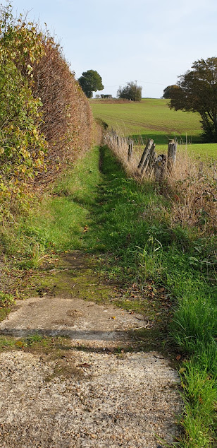 Looking back along the path near Gill Farm.