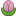 Tulip symbol