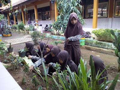 Mid Semester Inggris terbaru