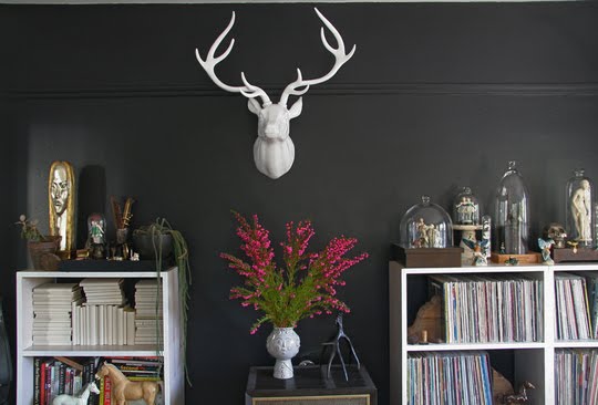 Deer Antler Home Decor