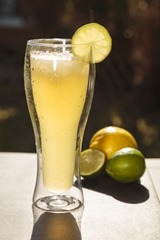 Honey Lime Ginger Pale Ale Shandy
