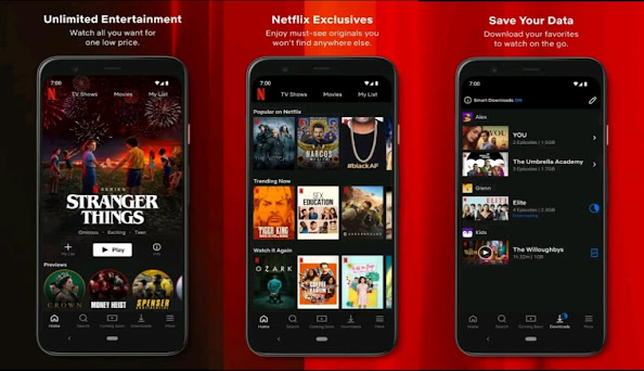 Netflix cracked app