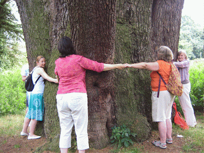 Tree hugging to estimate girth