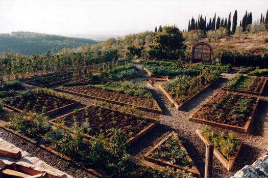 vegetable gardens.