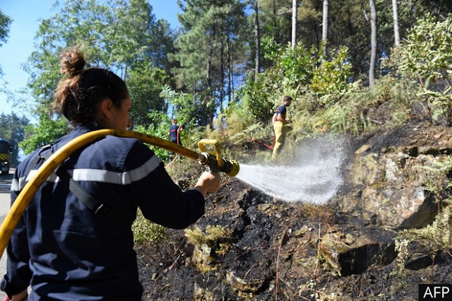 Heat wave in southwestern Europe, fires spread over thousands of acres of forests
