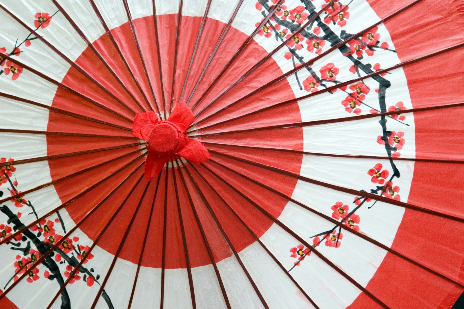 Wagasa – Japanese umbrella wallpaper