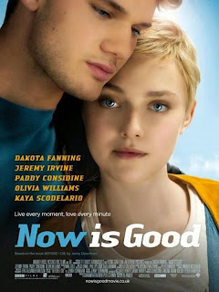 http://www.seriebox.com/cine/now-is-good.html