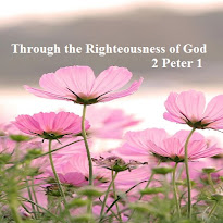 Our Scripture Reading today is,   2 Peter 1   I Simon Peter, a servant and an apostle of Jesus Christ, to them that have obtained like precious faith with us through the righteousness of God and our Savior Jesus Christ: