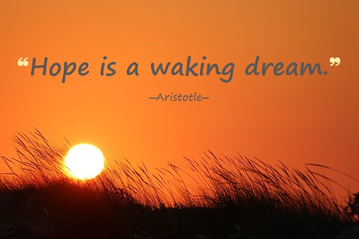Hope is a waking dream. - Aristotle