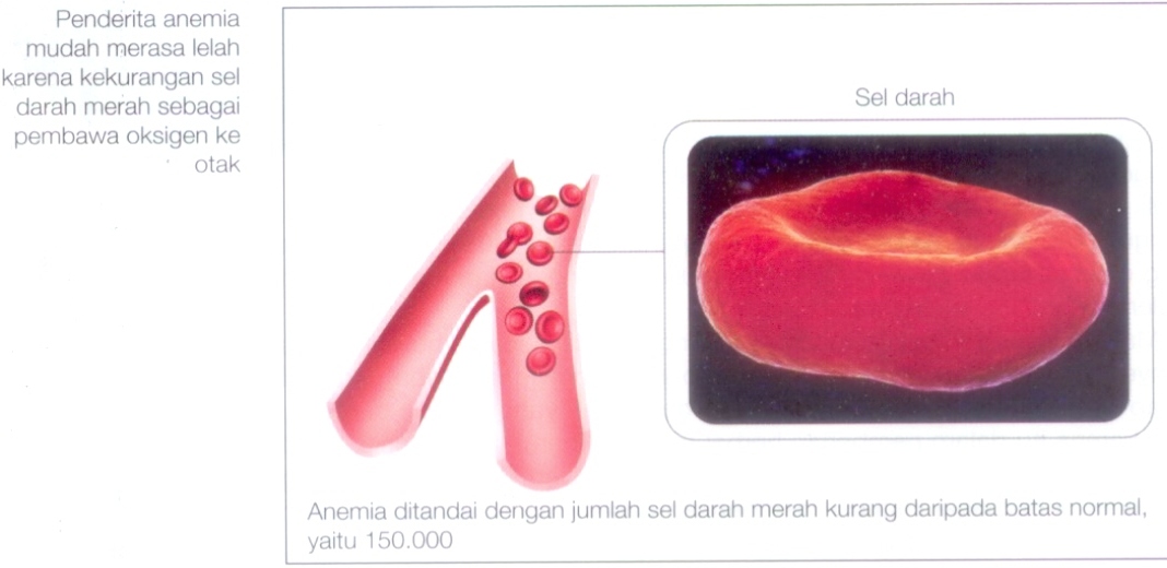 Ubat Cair Darah Beku - Rawatan m