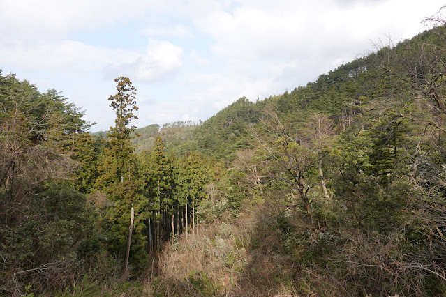 鳥取県米子市淀江町本宮 稲吉本宮線の農道からの眺望