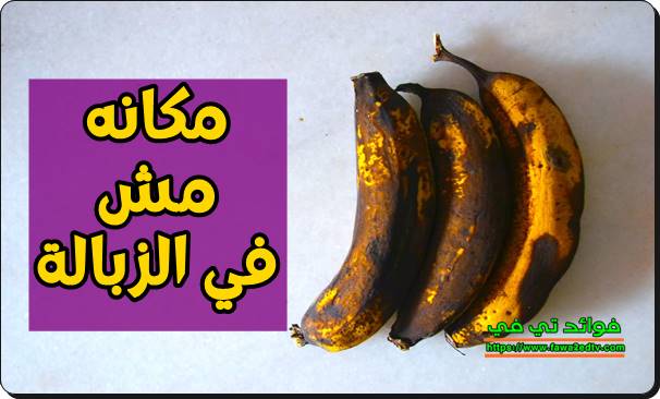 مكانه مش في الزبالة.. لن تصدق فوائد تناول ثمرة واحدة فقط يوميا من الموز الأسود
