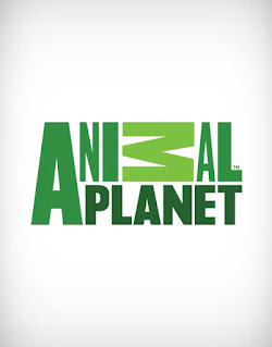 animal planet logo vector, animal planet logo, animal planet tv logo, animal planet live logo, animal planet video logo, animal planet channel logo