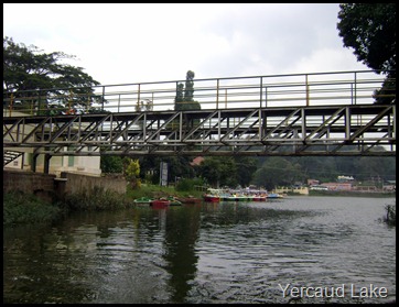 Yercaud Lake