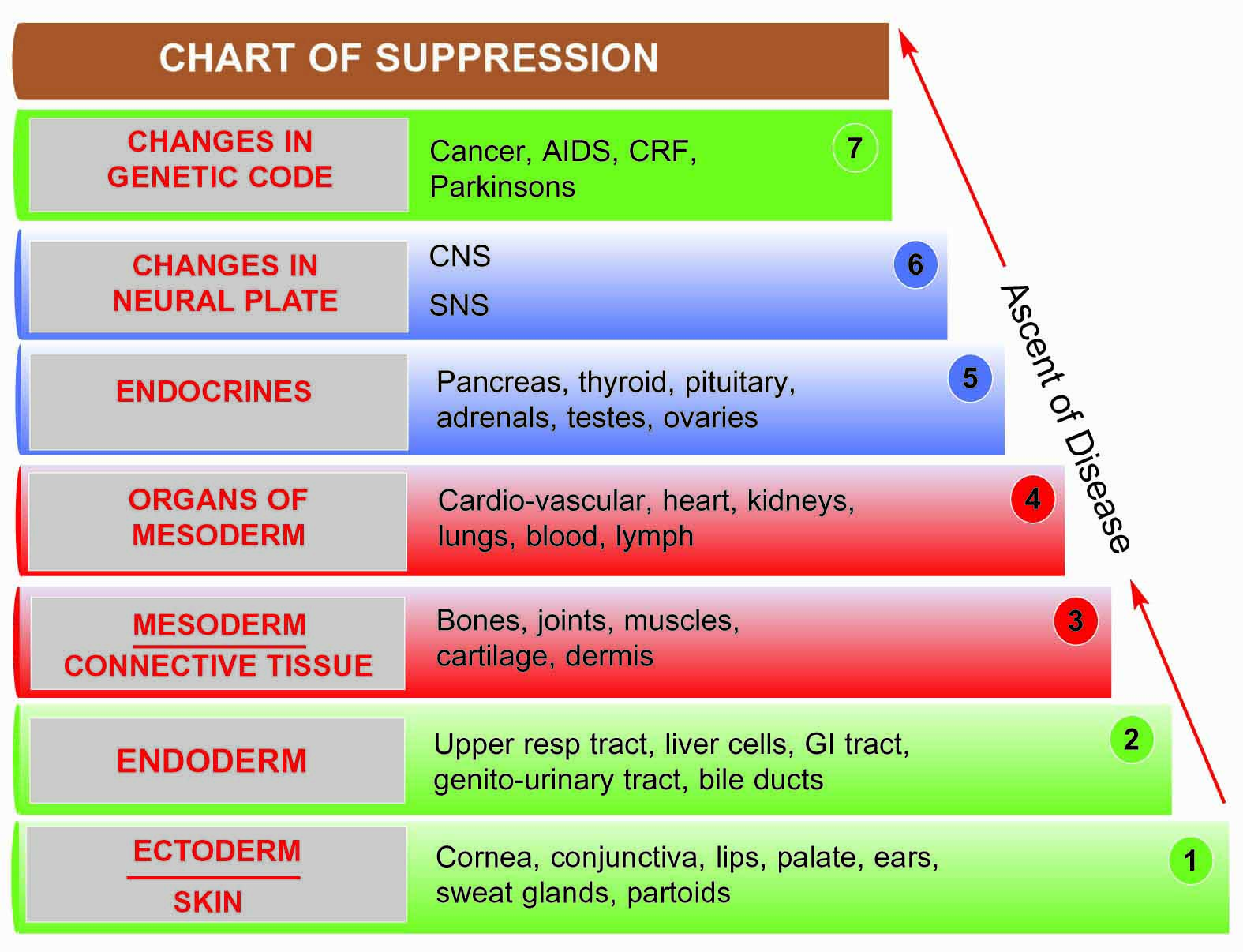 of all acidic foods. Here are medications that are good chance of 