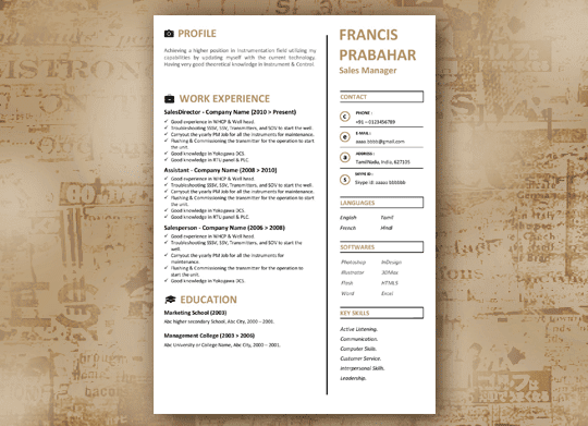 Light Browner - An Elegant Resume Template