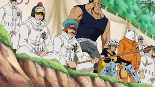 ワンピースアニメ 507話 女ヶ島 ハートの海賊団 Heart Pirates | ONE PIECE Episode 507