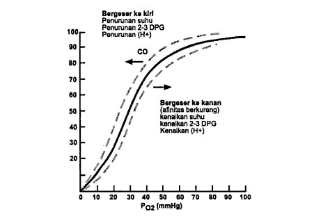 kurva disosiasi oksihemoglobin