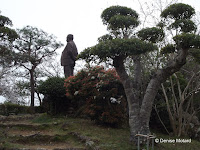 Dr. Tomitaro Makino statue, Kochi, Shikoku, Japan