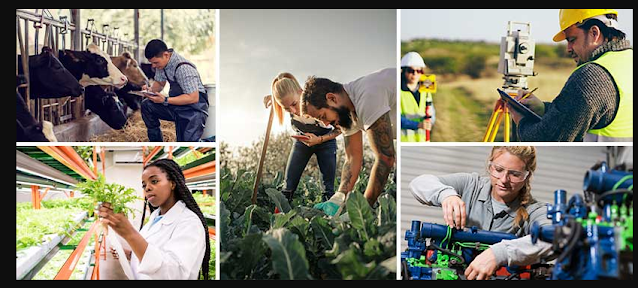 Exploring Career Paths in Agribusiness