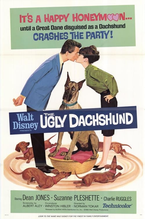 [HD] 4 bassets pour un danois 1966 Film Entier Vostfr