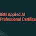 What is IBM Artificial Intelligence Professional Certificate in detail?