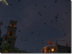 last 2 days in Merida 024