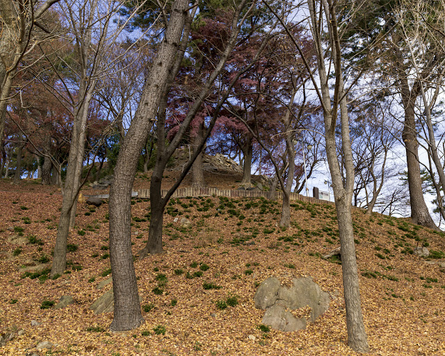 선입지에서 바라본 본환