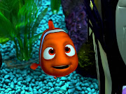 Pics of Nemo