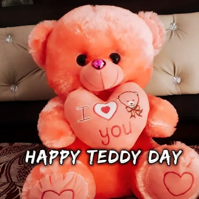 Teddy Day Pic