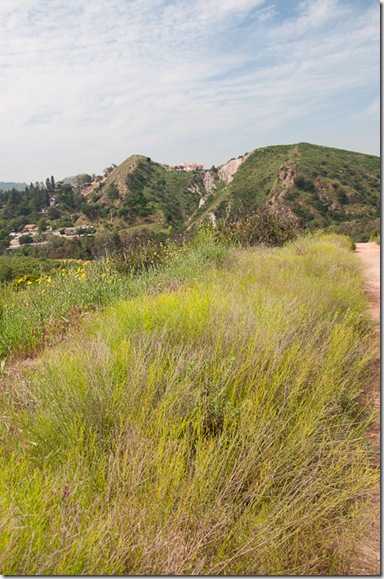 Santiago Oaks-13