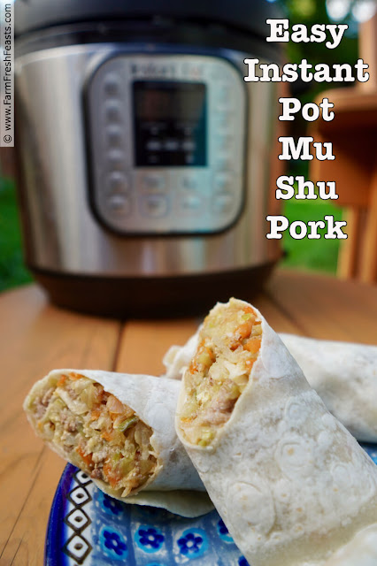 Easy Instant Pot Mu Shu Pork is a simple meal consisting of pork, cabbage, and eggs seasoned with plummy hoisin sauce and served with a Chinese pancake. Skip the restaurant and control your own ingredients by making this quick dish!